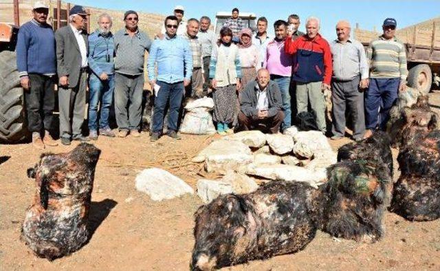 Söğle Peyniri 2 Ay Kar Dolu Kuyuda Bekletilerek Yapılıyor