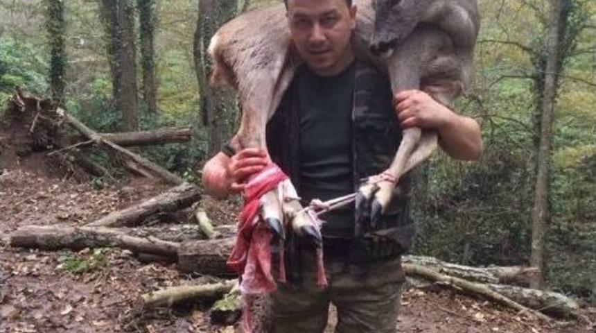 Yaralı Karacayı 3 Kilometre Omuzunda Taşıdı