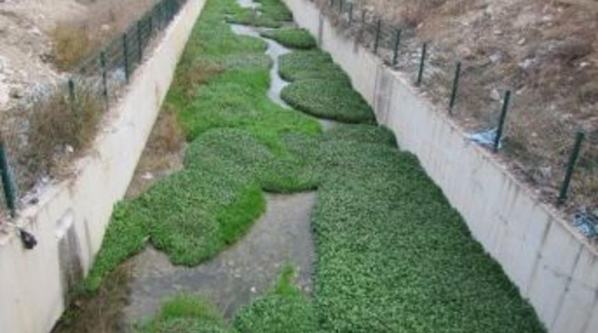 K&uuml;&ccedil;&uuml;k&ccedil;ay&rsquo;da G&uuml;zellik