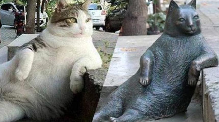 Verdiği Pozla Fenomen Olan Tombili'nin Heykeli &Ccedil;alındı