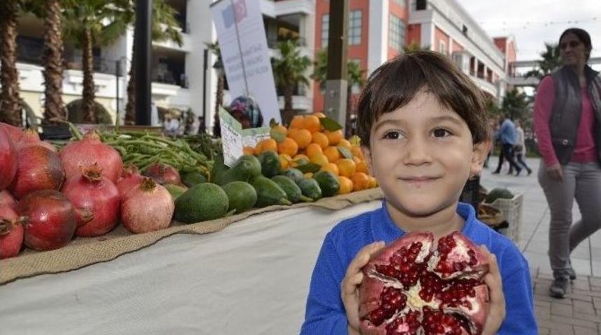 Bir Avu&ccedil; Nar Kalbi Koruyor