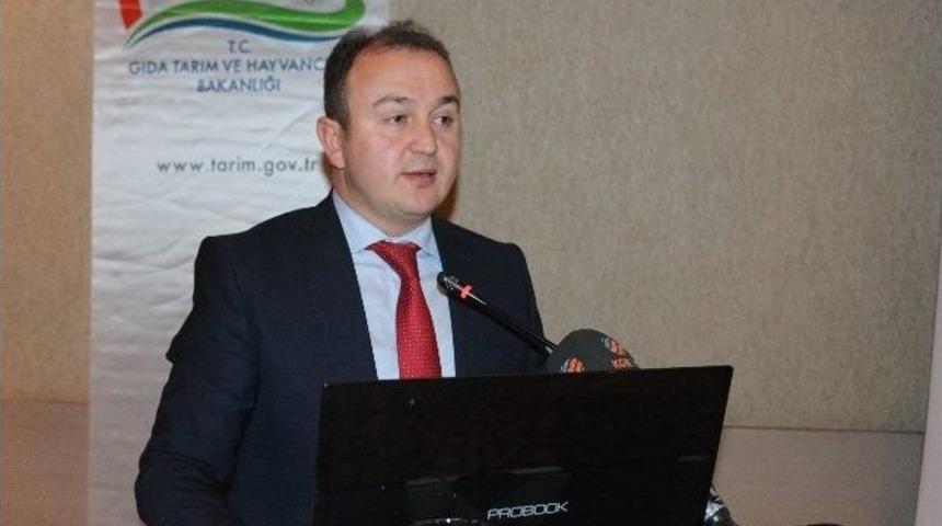 Kkydp Kapsamında Tarıma Dayalı Yatırımlar Bilgilendirme Toplantısı Ger&ccedil;ekleştirildi