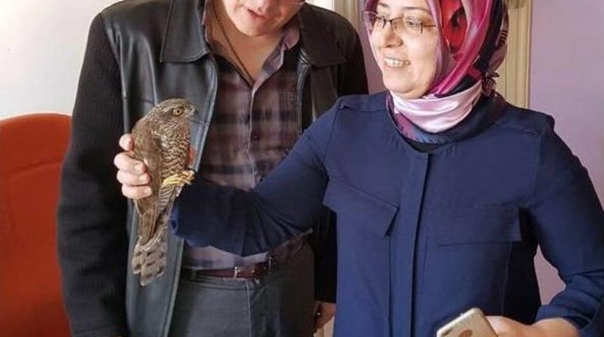 Devlet Hastanesi Kanadı Kırık Atmaca İ&ccedil;in Seferber Oldu