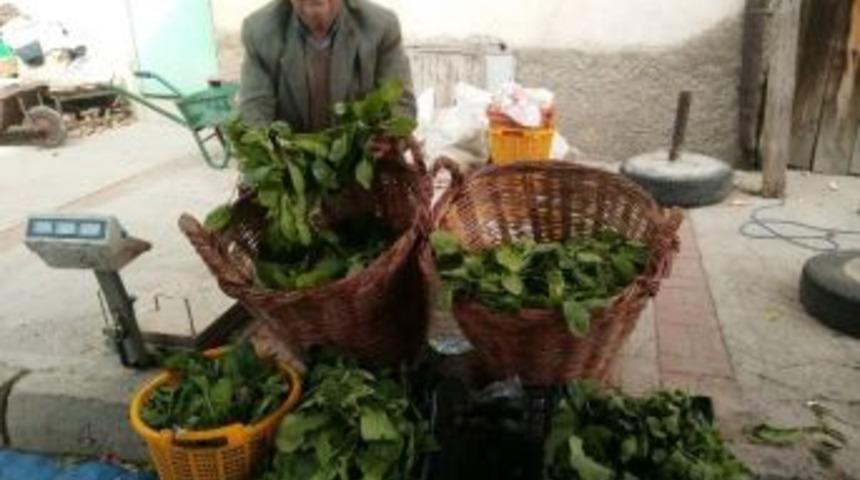 Hisarcık&rsquo;ta Yerli Ispanağa Rağbet