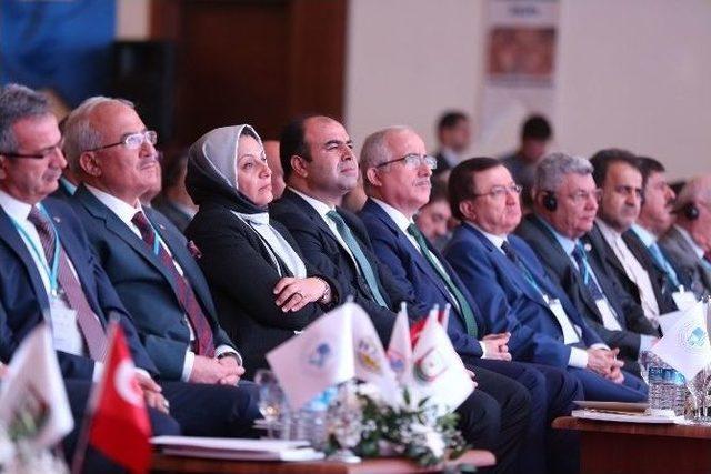 G&ouml;&ccedil; Y&ouml;netiminde Yerel D&uuml;zeyde Koordinasyonu G&uuml;&ccedil;lendirme &Ccedil;alıştayı Sona Erdi 2