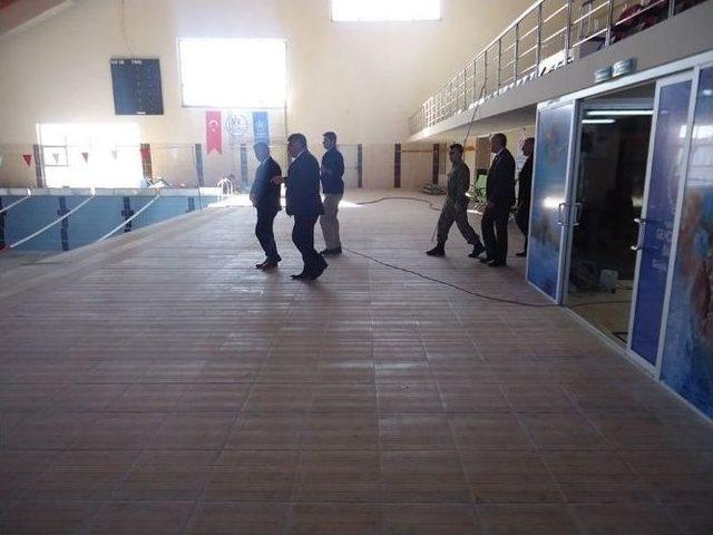 Vali Doğan, Olimpik Havucu İnceledi 2