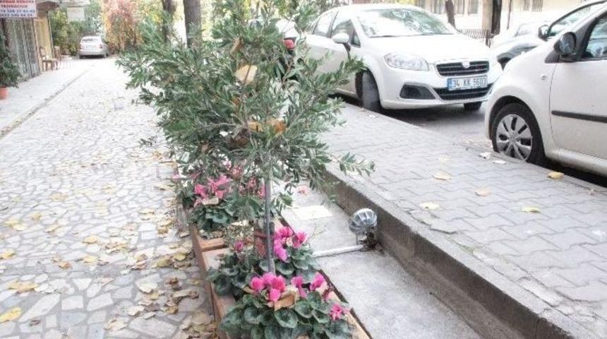 Tombili&rsquo;nin Heykelinin &Ccedil;alınması &Ccedil;evre Sakinlerini &Uuml;z&uuml;nt&uuml;ye Boğdu