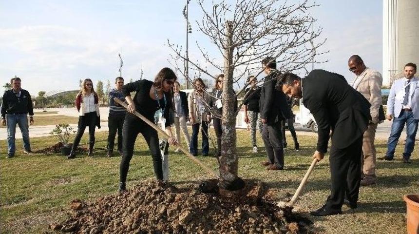 Zimbabve, Afkira&rsquo;nın Sembol&uuml; &lsquo;baobab Ağacı&rsquo;nı Expo 2016&rsquo;ya Hediye Etti