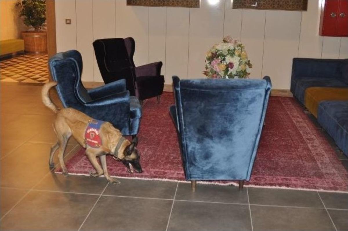 B&uuml;y&uuml;kel&ccedil;ilerin G&uuml;venliğini &ldquo;&ccedil;omak&rdquo; Sağladı