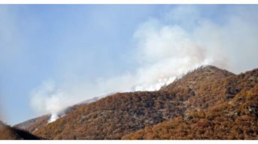 Tunceli&rsquo;de Pkk&rsquo;ya B&uuml;y&uuml;k Darbe