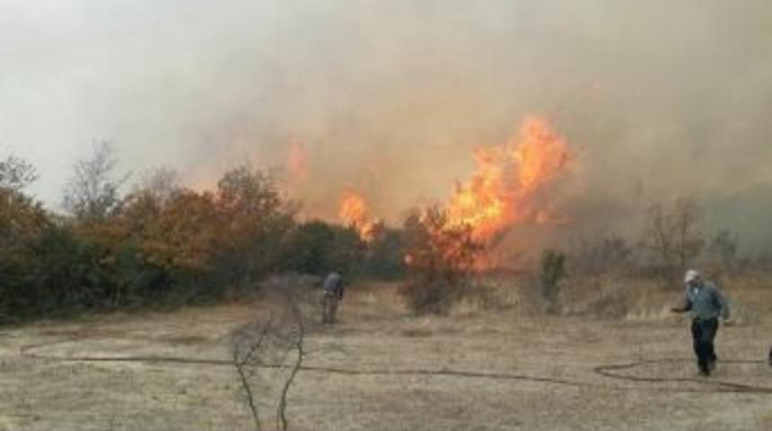 Edirne&rsquo;de Korkutan Orman Yangını