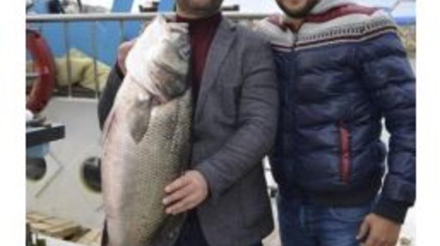 11 Kilogram Ağırlığındaki Levrek Bin Liraya Satıldı