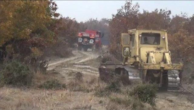 Keşan’Da Orman Yangını (2)