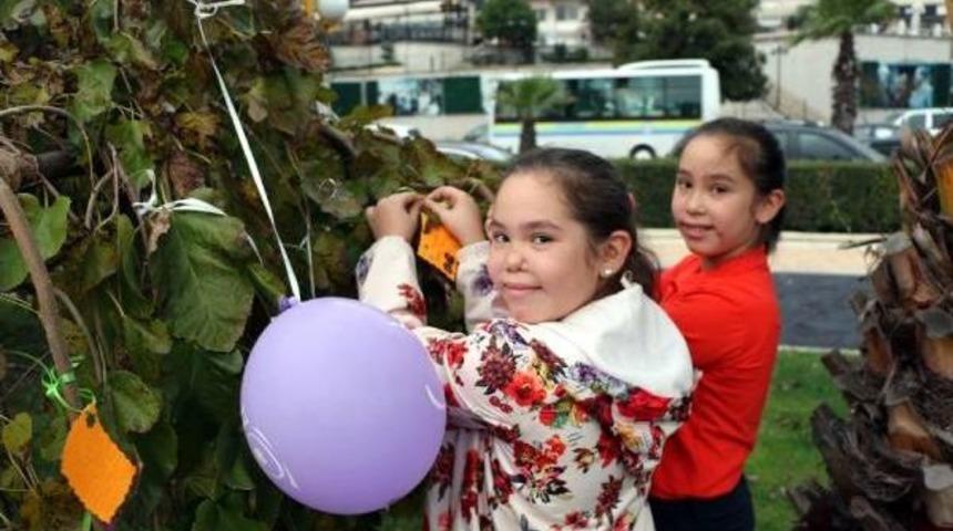 L&ouml;semi Hastası &Ccedil;ocuklar Dileklerini Ağaca Astı