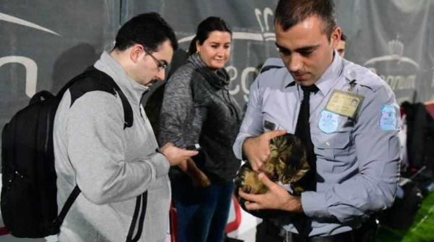 A Milliler 2 Eksikle &Ccedil;alıştı