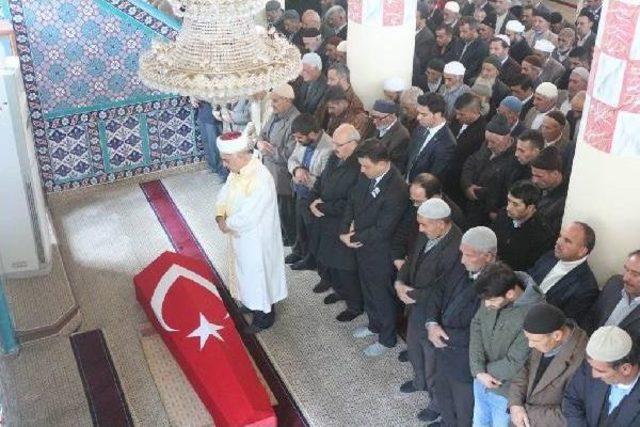 Bingöl'de 1 Köy Korucusu Şehit (2)