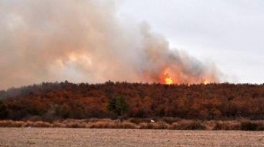 Keşan&rsquo;Da Orman Yangını (3)