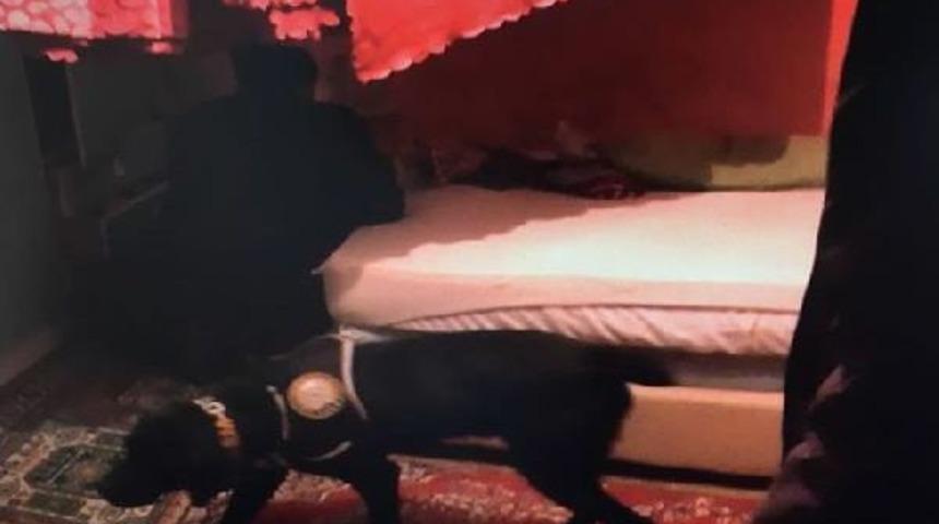 Eşzamanlı Operasyonlarda 41 Uyuşturucu Satıcısı G&ouml;zaltına Alındı