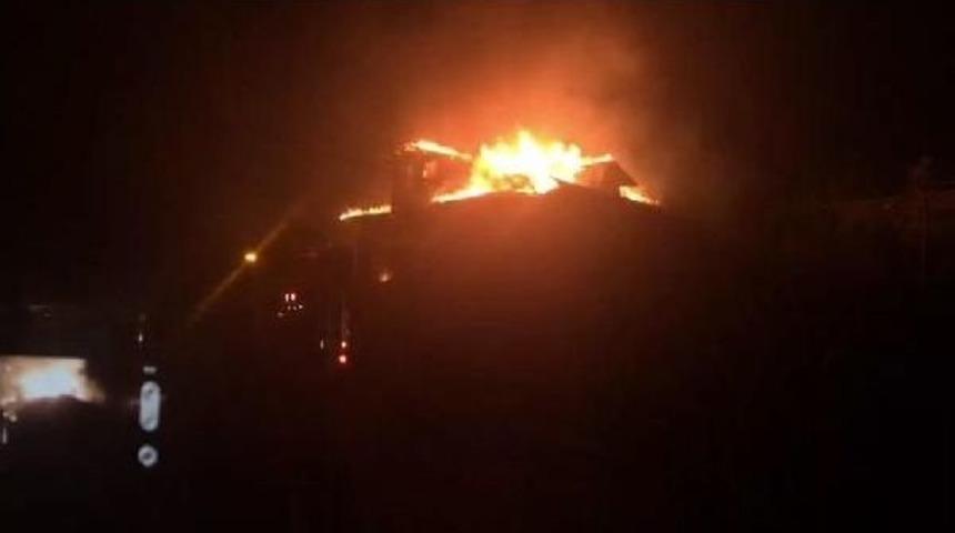 Riva'da 3 Katlı Bina Yandı, &Ccedil;ok Sayıda Hayvan Telef Oldu