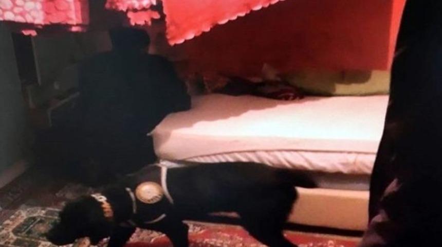 Emniyet Genel M&uuml;d&uuml;rl&uuml;ğ&uuml;&rsquo;nden Uyuşturucu Tacirlerine Darbe