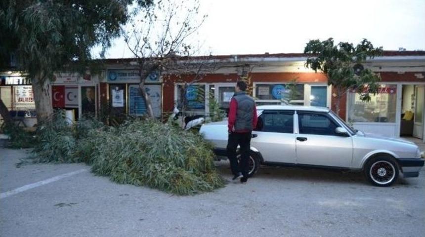 Fırtınada Devrilen Ağacın Altından Saniyelerle Kurtuldu