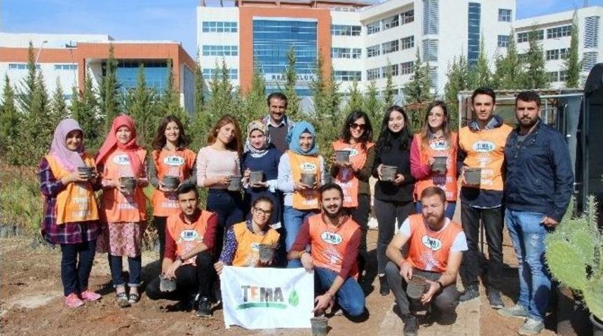 Gen&ccedil; Tema Topluluğu Tohumları Toprakla Buluşturdu