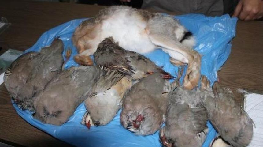 Ka&ccedil;ak 4 Avcıya 5 Bin 800 Tl Ceza