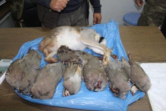 Kaçak 4 Avcıya 5 Bin 800 Tl Ceza 1