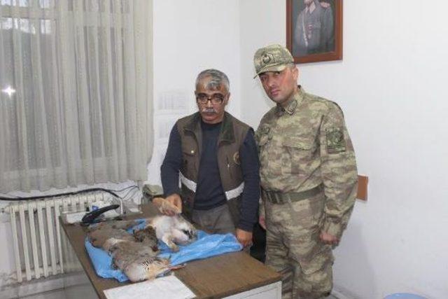 Kaçak 4 Avcıya 5 Bin 800 Tl Ceza 2