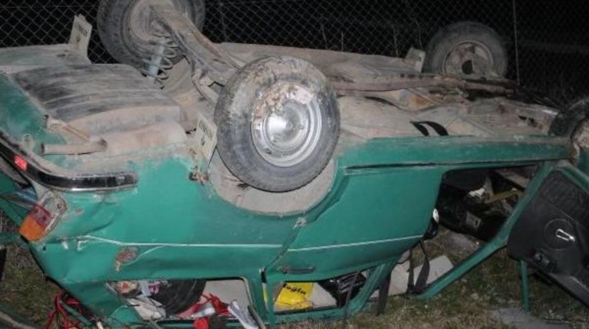 Yola &Ccedil;ıkan Hayvanlar Zincirleme Kazaya Yol A&ccedil;tı: 4 Yaralı