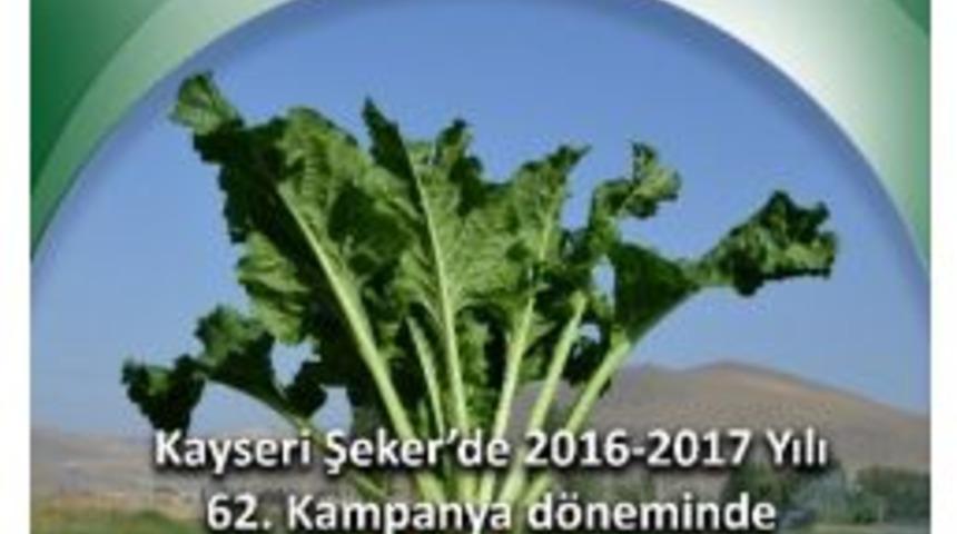 Kayseri Şeker&rsquo;den Şeker Pancarına 220 Tl Rekor Taban Fiyat