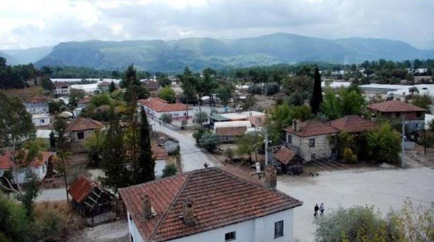 Seracılık Ve Nar &Uuml;retimi Tersine G&ouml;&ccedil; Başlattı