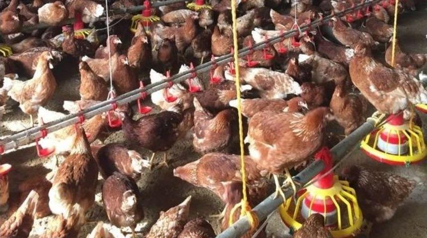 Gen&ccedil; &Ccedil;ift&ccedil;i Projesi İlk Meyvelerini Vermeye Başladı