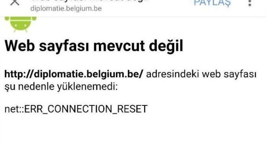Aslan Neferler Tim Bel&ccedil;ika&rsquo;nın Resmi İnternet Sitelerini &Ccedil;&ouml;kertti
