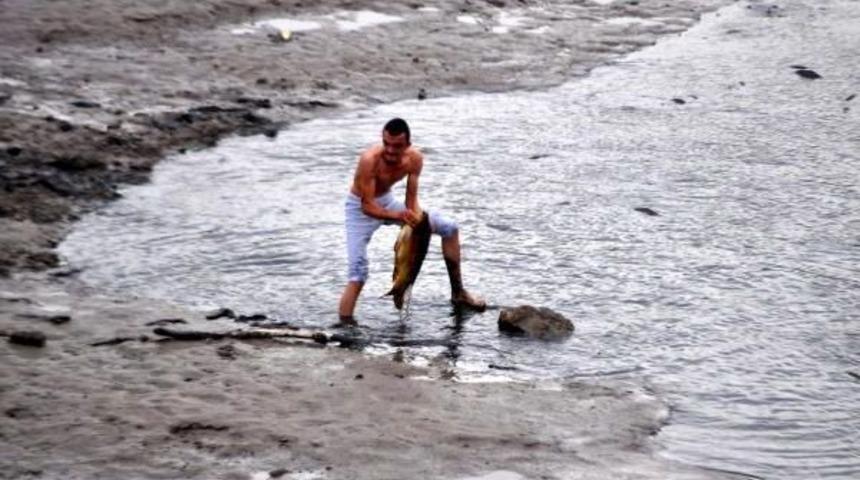 G&ouml;let Kurudu, Balıklar Telef Oldu