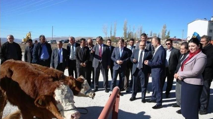 Gen&ccedil; &Ccedil;ift&ccedil;ilere Hibeleri Verilmeye Başlandı