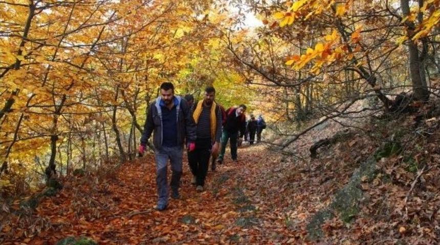Odak Etkinliklerine Başladı