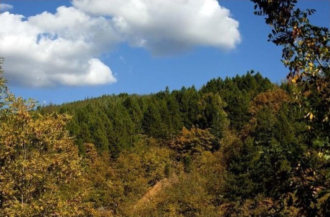 Malatya&rsquo;nın R&uuml;yası Ger&ccedil;ek Oldu
