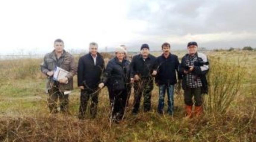 Hersek Lag&uuml;n&uuml;ne Botanik Bah&ccedil;esi