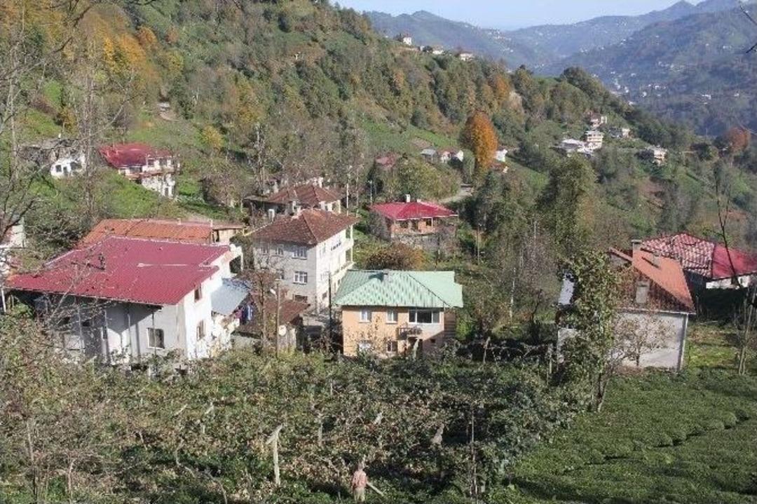 K&ouml;yl&uuml;ler Diken &Uuml;st&uuml;nde