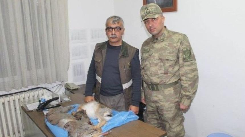 Iğdır&rsquo;da Ka&ccedil;ak Avlanmaya 5 Bin 800 Tl Ceza