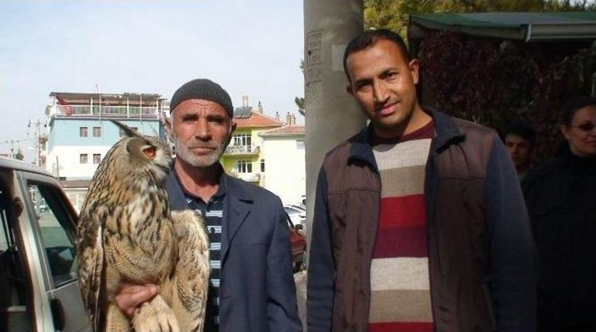 Yaralı &rsquo;puhu&rsquo; Kuşuna Vatandaşlar Sahip &Ccedil;ıktı