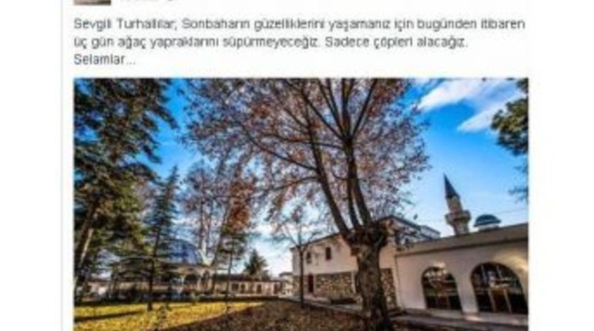 Turhal&rsquo;da 3 G&uuml;n Yaprak S&uuml;p&uuml;r&uuml;lmeyecek