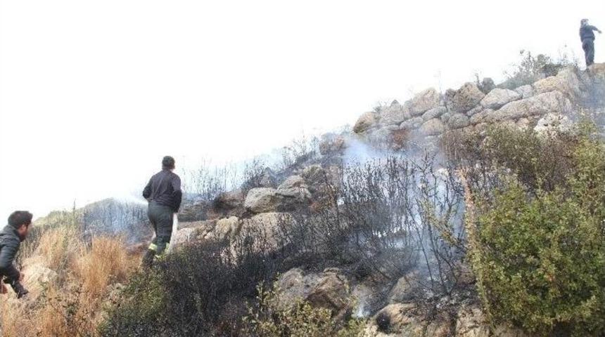 Milas&rsquo;taki Yangın Evleri Tehdit Etti