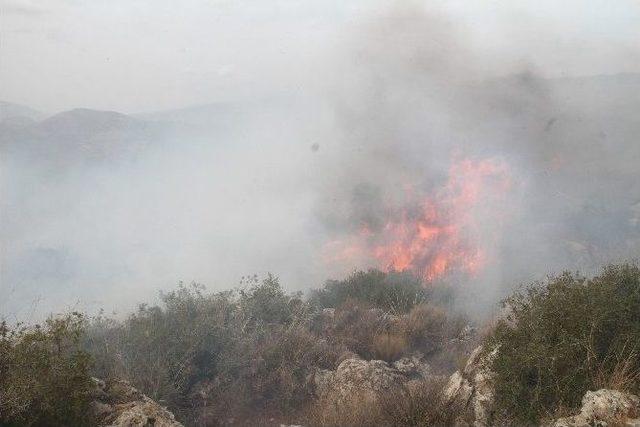 Milas’taki Yangın Evleri Tehdit Etti