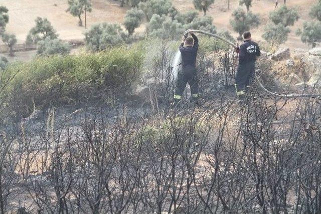 Milas’taki Yangın Evleri Tehdit Etti