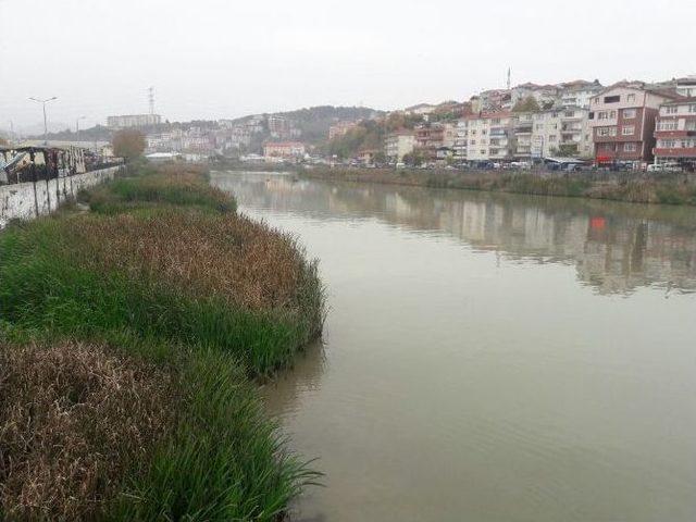 Alaplı &Ccedil;ayı İ&ccedil;in Harekete Ge&ccedil;ildi 1