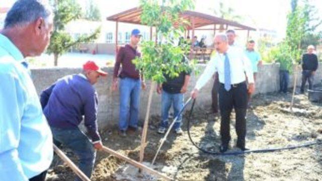 Başkan Culha: “geleceğimiz Yeşil Bir Çevrede Büyümeli”