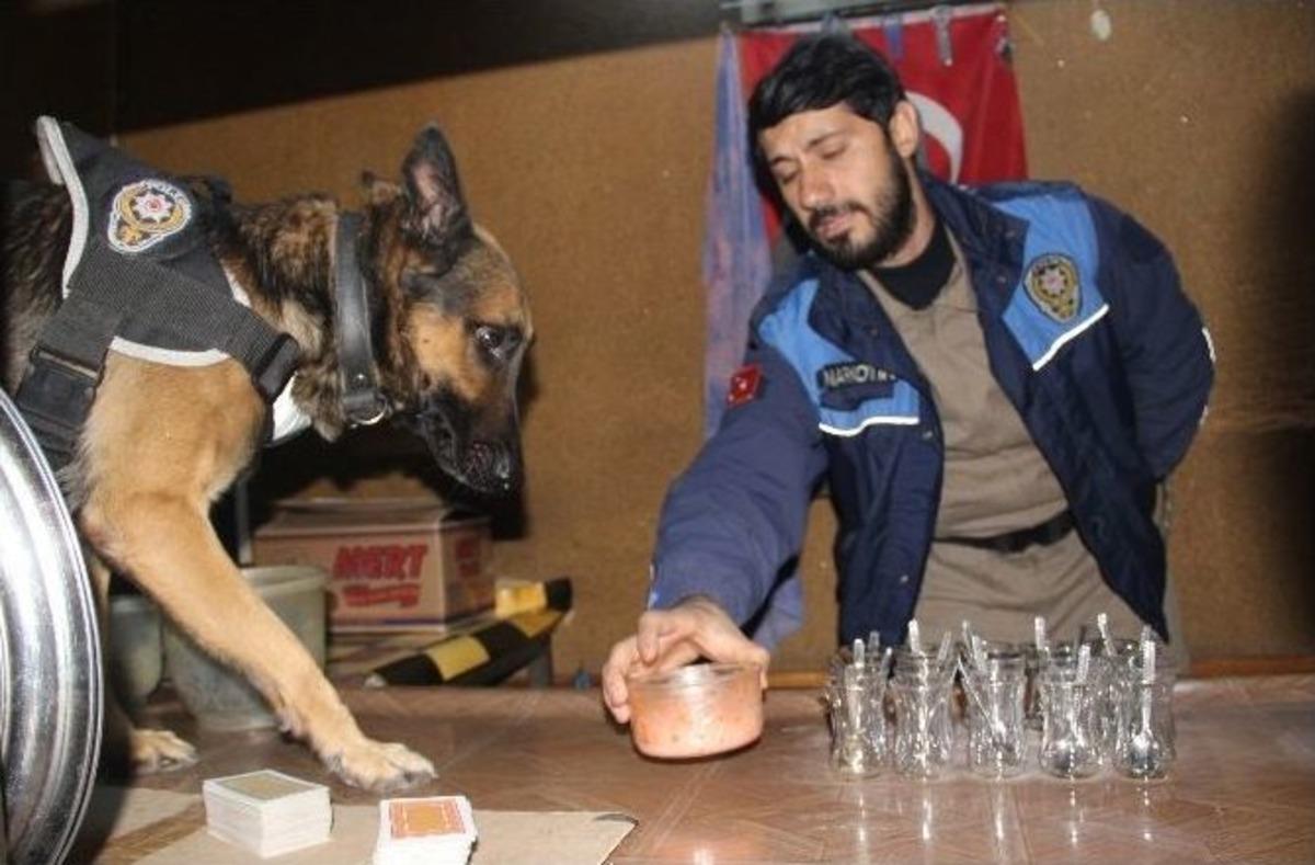 Gaziantep Polisinden Şok Uygulama