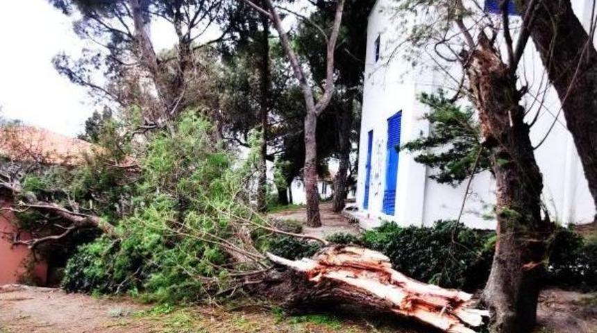 Bodrum'da Lodos Hayatı Olumsuz Etkiledi